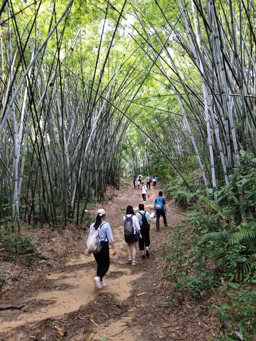 至此，记录我们的环木强水库之旅！